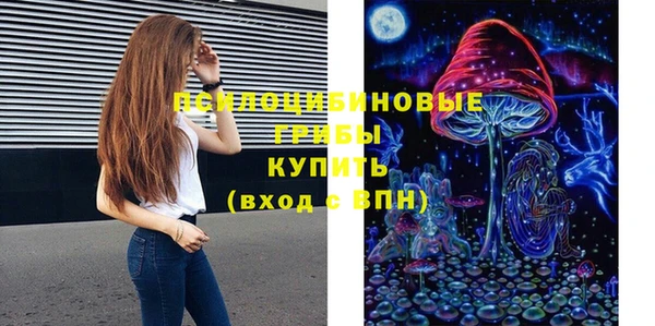 Альфа ПВП Армянск