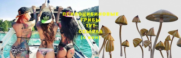 амфетамин Арсеньев